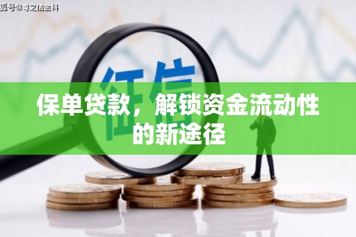 黔西南保单贷款，解锁资金流动性的新途径