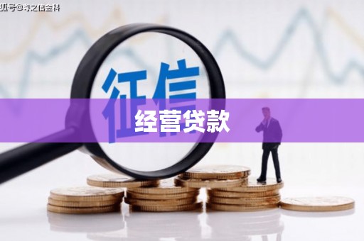 黔西南经营贷款