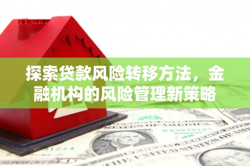黔西南探索贷款风险转移方法，金融机构的风险管理新策略