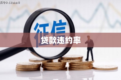 黔西南贷款违约率