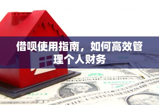 黔西南借呗使用指南，如何高效管理个人财务