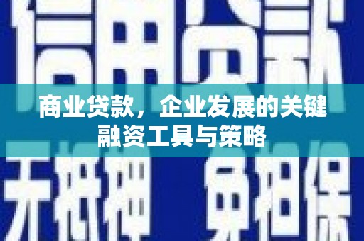 黔西南商业贷款，企业发展的关键融资工具与策略