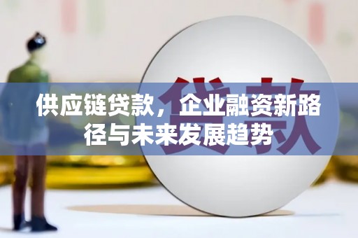 黔西南供应链贷款，企业融资新路径与未来发展趋势