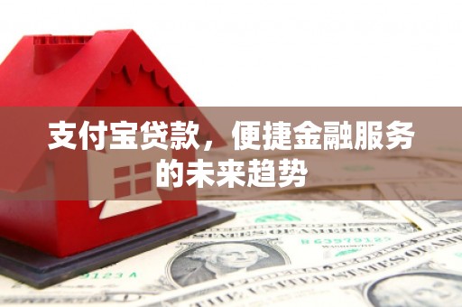黔西南支付宝贷款，便捷金融服务的未来趋势