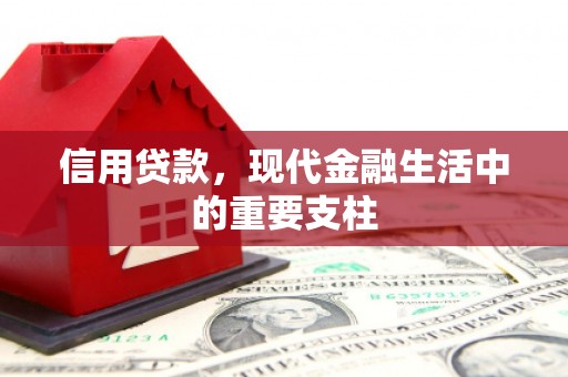 黔西南信用贷款，现代金融生活中的重要支柱