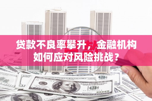 黔西南贷款不良率攀升，金融机构如何应对风险挑战？