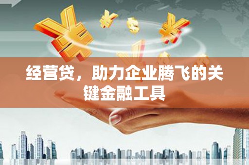 黔西南经营贷，助力企业腾飞的关键金融工具