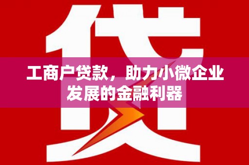 黔西南工商户贷款，助力小微企业发展的金融利器
