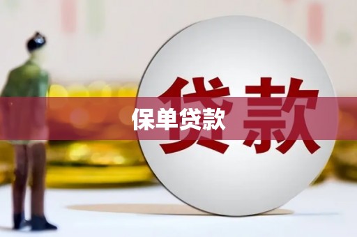 黔西南保单贷款