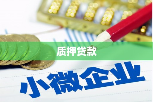 黔西南质押贷款