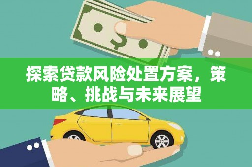 黔西南探索贷款风险处置方案，策略、挑战与未来展望