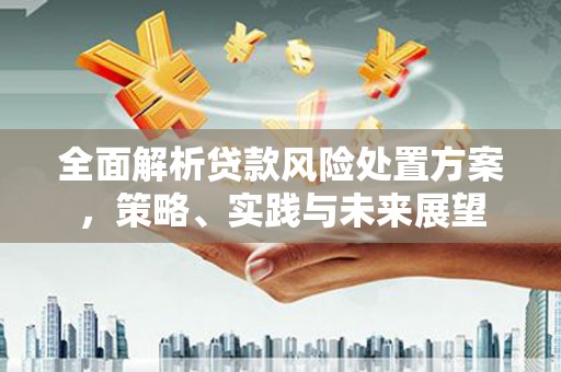 黔西南全面解析贷款风险处置方案，策略、实践与未来展望