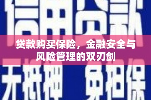 黔西南贷款购买保险，金融安全与风险管理的双刃剑