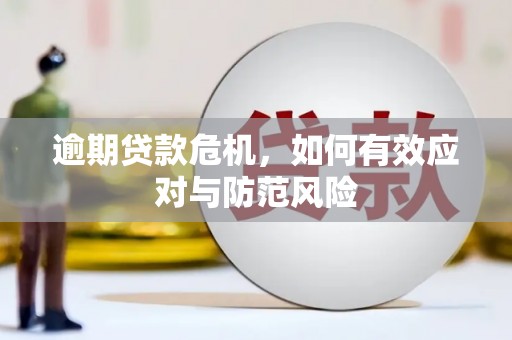 黔西南逾期贷款危机，如何有效应对与防范风险