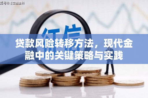 黔西南贷款风险转移方法，现代金融中的关键策略与实践
