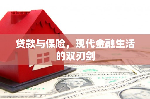 黔西南贷款与保险，现代金融生活的双刃剑
