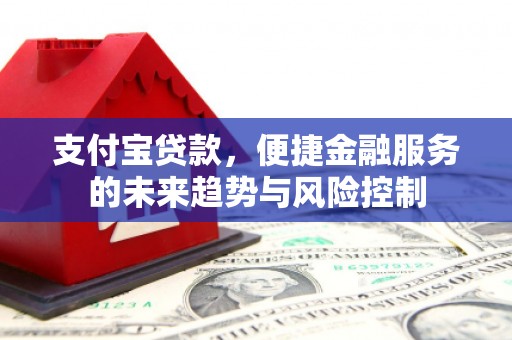 黔西南支付宝贷款，便捷金融服务的未来趋势与风险控制