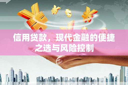黔西南信用贷款，现代金融的便捷之选与风险控制