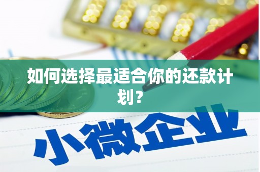 黔西南如何选择最适合你的还款计划？