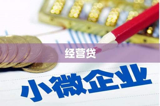 黔西南经营贷