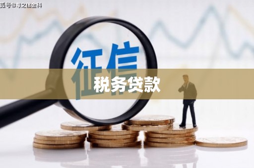 黔西南税务贷款