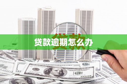 黔西南贷款逾期怎么办