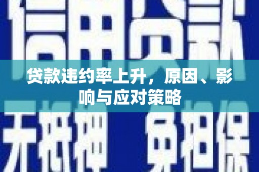 黔西南贷款违约率上升，原因、影响与应对策略