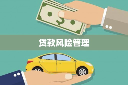 黔西南贷款风险管理