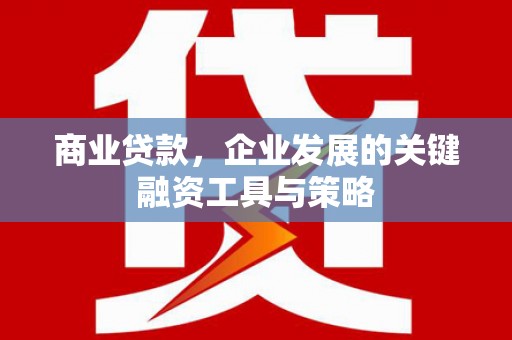 黔西南商业贷款，企业发展的关键融资工具与策略
