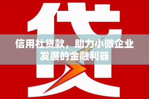 黔西南信用社贷款，助力小微企业发展的金融利器