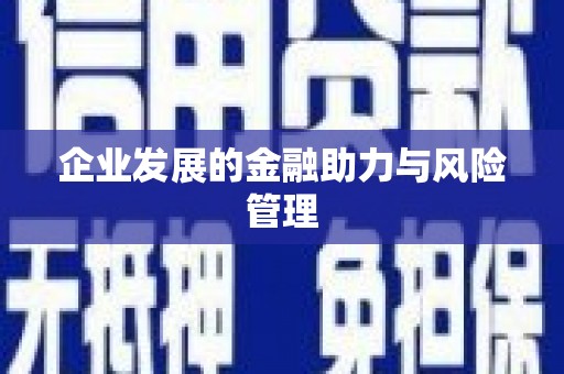 黔西南企业发展的金融助力与风险管理