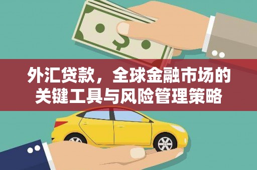 黔西南外汇贷款，全球金融市场的关键工具与风险管理策略