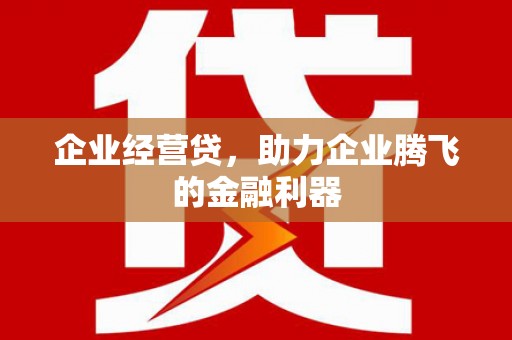 黔西南企业经营贷，助力企业腾飞的金融利器