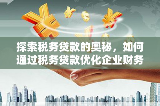 黔西南探索税务贷款的奥秘，如何通过税务贷款优化企业财务