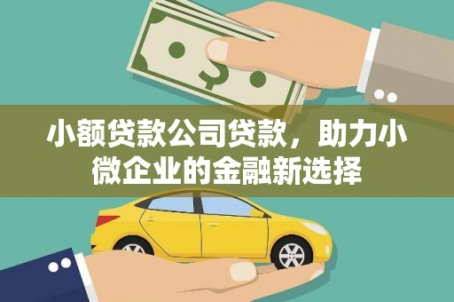 黔西南小额贷款公司贷款，助力小微企业的金融新选择