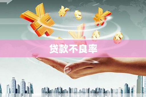 黔西南贷款不良率