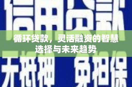 黔西南循环贷款，灵活融资的智慧选择与未来趋势
