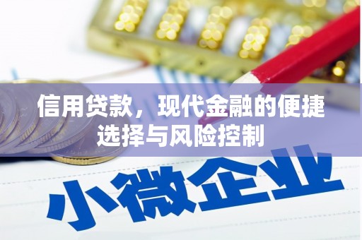 黔西南信用贷款，现代金融的便捷选择与风险控制