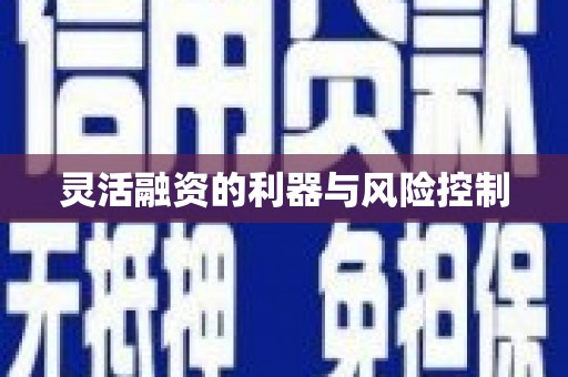 黔西南灵活融资的利器与风险控制