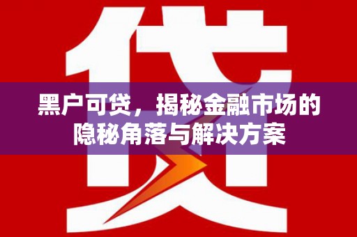 黔西南黑户可贷，揭秘金融市场的隐秘角落与解决方案