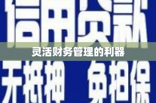 黔西南灵活财务管理的利器