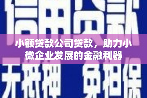 黔西南小额贷款公司贷款，助力小微企业发展的金融利器