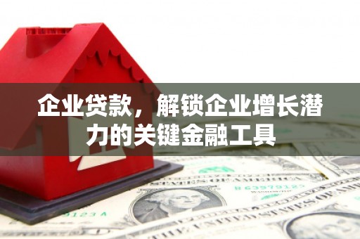黔西南企业贷款，解锁企业增长潜力的关键金融工具