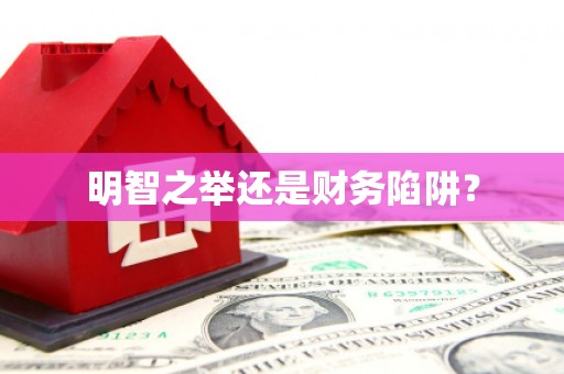黔西南明智之举还是财务陷阱？