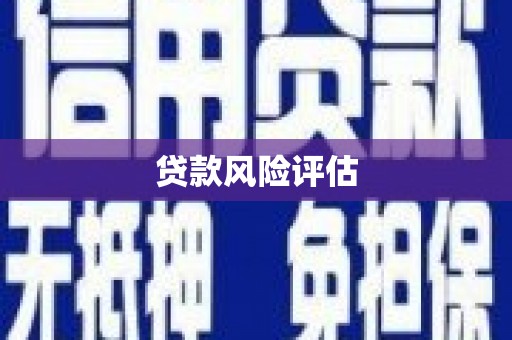 黔西南贷款风险评估
