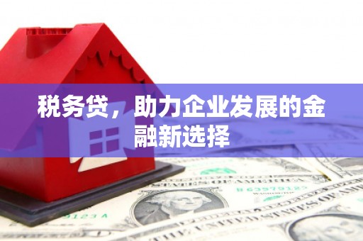 黔西南税务贷，助力企业发展的金融新选择