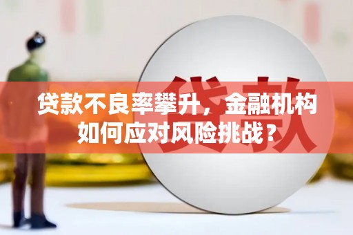 黔西南贷款不良率攀升，金融机构如何应对风险挑战？
