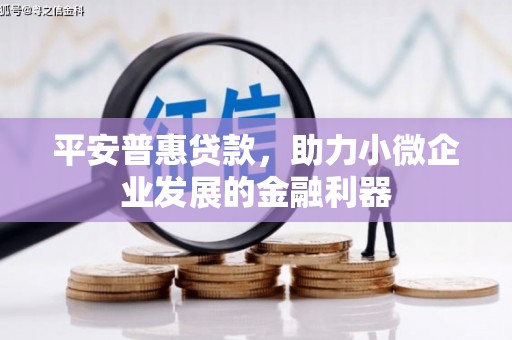 黔西南平安普惠贷款，助力小微企业发展的金融利器