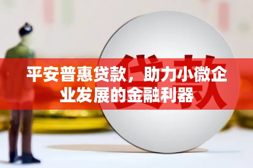 黔西南平安普惠贷款，助力小微企业发展的金融利器
