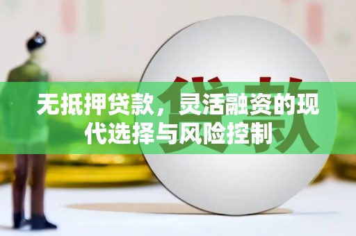 黔西南无抵押贷款，灵活融资的现代选择与风险控制